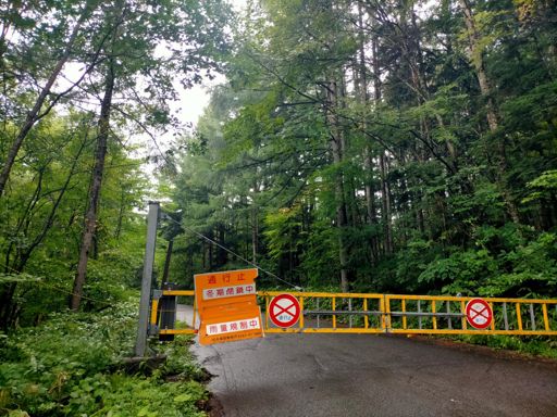 休暇村の先で倒木のため通行止め