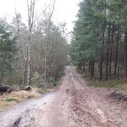 Minder bagger als Wageningen