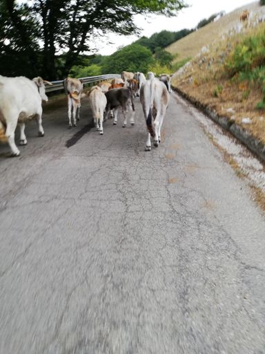 Non si passa😅😅