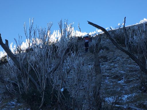 Pushing up the Twins. Silly idea really.