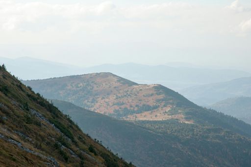 Mała Babia Góra (1517 m)