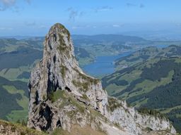 Fluebrig