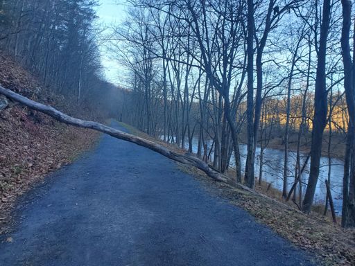 I wanted to try to go under. Road tires are fine!