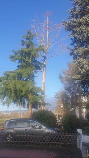 Eschborn_ID23768_UM_Altkönigweg 32.jpg