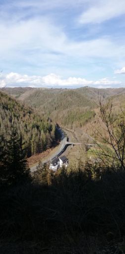 Völlig unerwartet, aber verdient: der Blick aus dieser Perspektive auf die Fischbachsmühle. Ich dachte, der Radweg führt im Tal entlang 😳