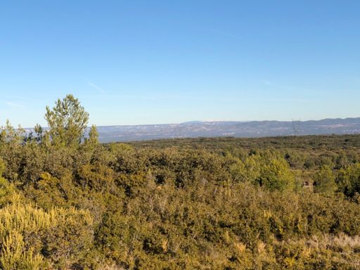 Au fond le mont ventoux