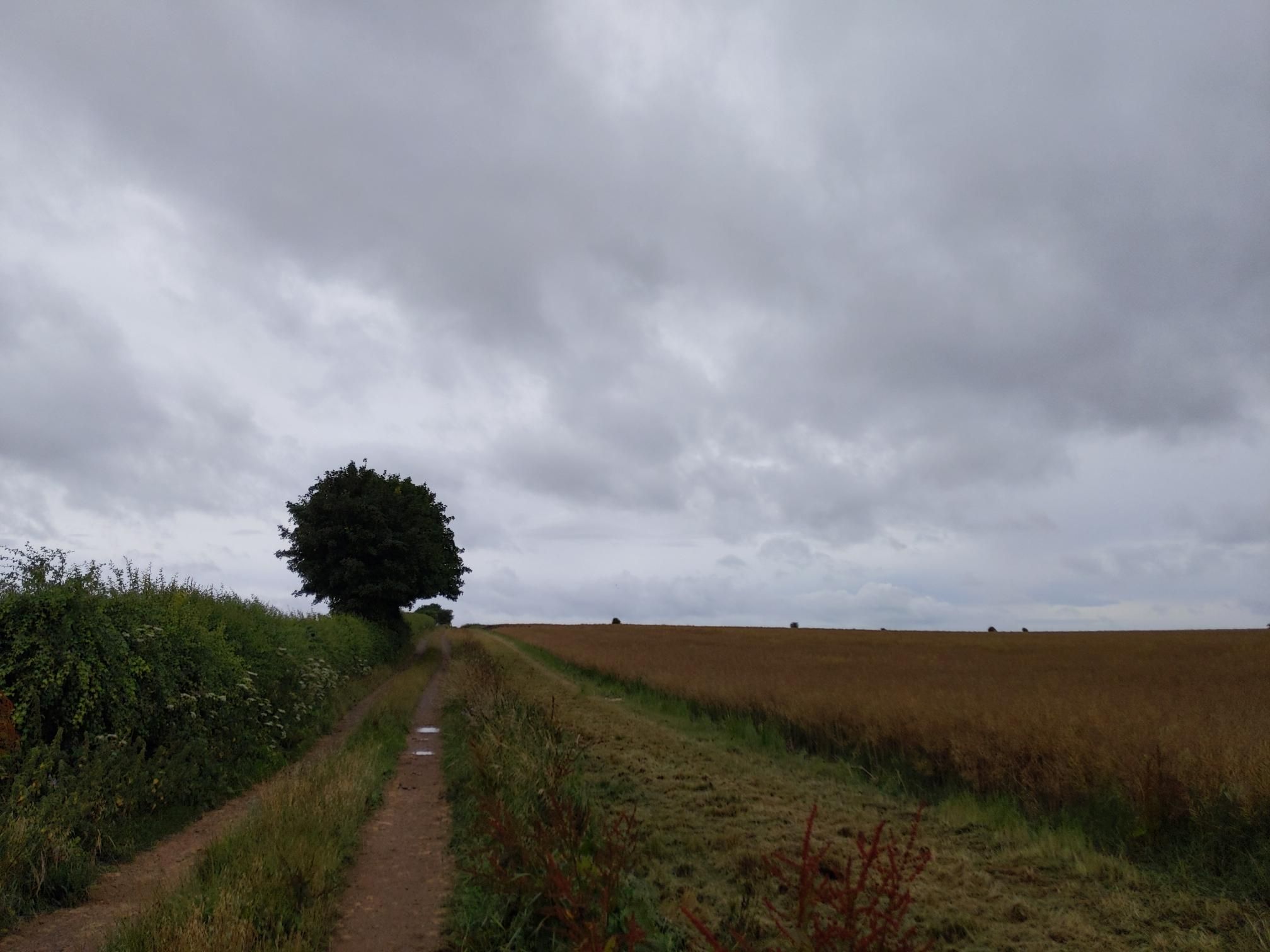 Skipton to Lands End - Day 4 photo 10