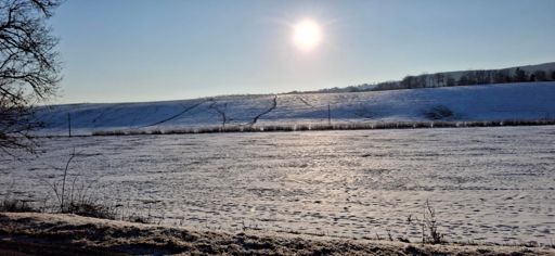 Nagy vadvonulások nyomai