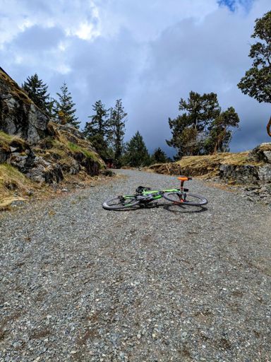 The top section of Crystalview - I wasn't planning any gravel originally, but after Alison Jackson's Paris-Roubaix win I figured an Ali Jackson Action Week was deserved in the Segment Challenge!