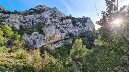 Le crane de Colombier