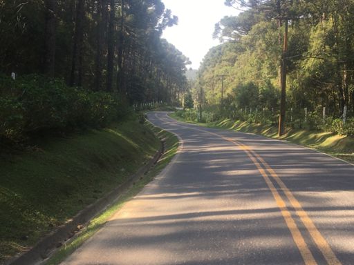 Rodovia Augusto Mocelin ( Caminho até a Ouro Fino)