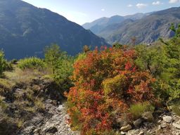 Rando famille à Saorge