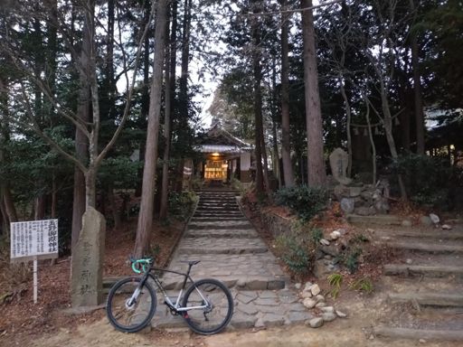 猫アレルギーで避けてた通称猫神社へ恐る恐る。目が痒い😫