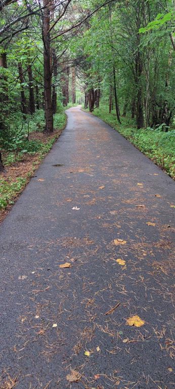 Path from the Chatelherault Country Park to the Hamilton Mausoleum https://en.wikipedia.org/wiki/Chatelherault_Country_Park