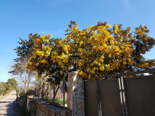 Darauf müssen wir zu Hause noch ein paar Wochen warten