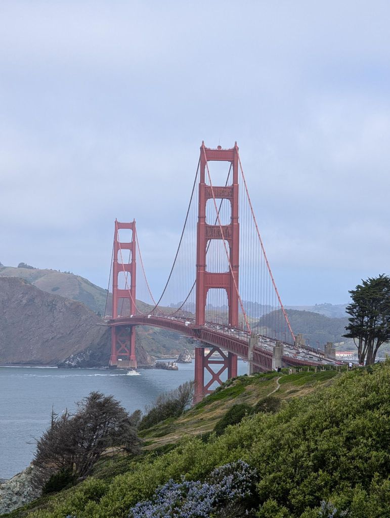 Butterlap (Presidio & Golden Gate Park) photo 192
