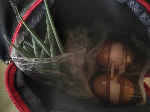 Когда заехал в село