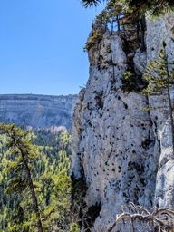 Creux du van, gorges de l’Areuse, retour par le dos d’âne