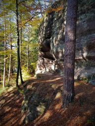 Dans ma prison dorée