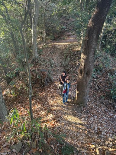 堀切。城址の遺構が残る。