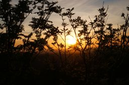 sunset grand roug’