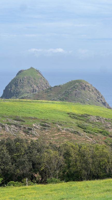 Sunny Day and Waterfalls