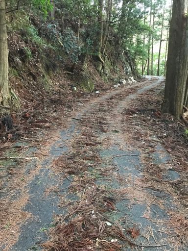 路面状況　悪し