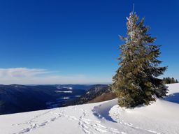 Retournemer Hohneck via la Schlucht