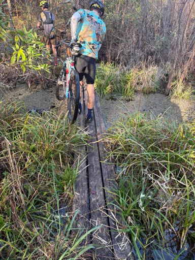 The kinda water you’d expect to see a gator in. 