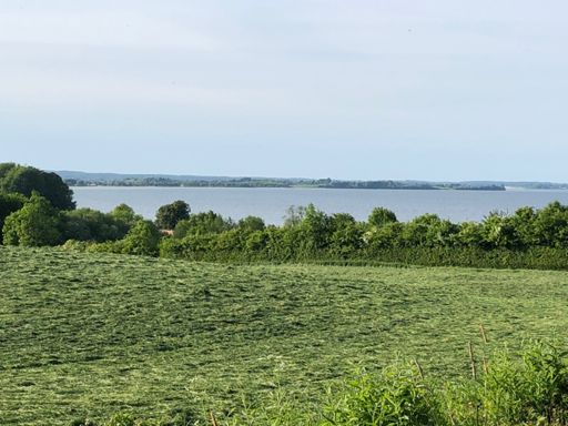 Das duftet schon nach Sommer !