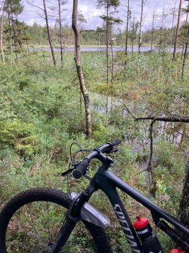 Morttjern fra sørsiden