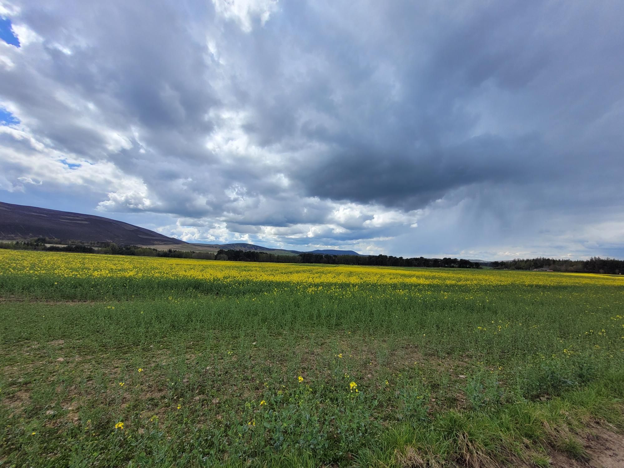 https://dgtzuqphqg23d.cloudfront.net/PQQEd6U_mfmzD3liS03kuI9hvGrLGmm-90uM_qx4P_w-2048x1536.jpg