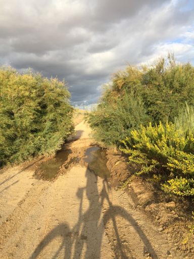 De charco a charco...