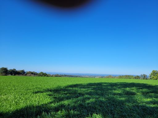 Ont est bien à la campagne 😊😊😊