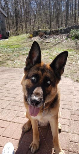 Nothing like a little post ride drool😂