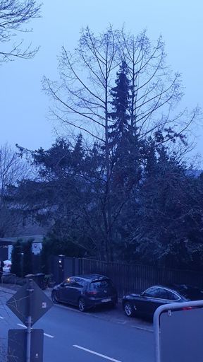 Koenigstein im Taunus_ID23770_UM_Wiesbadener Str. 124