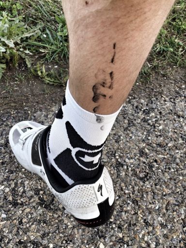 Yes, I'm still a cycling greenhorn.