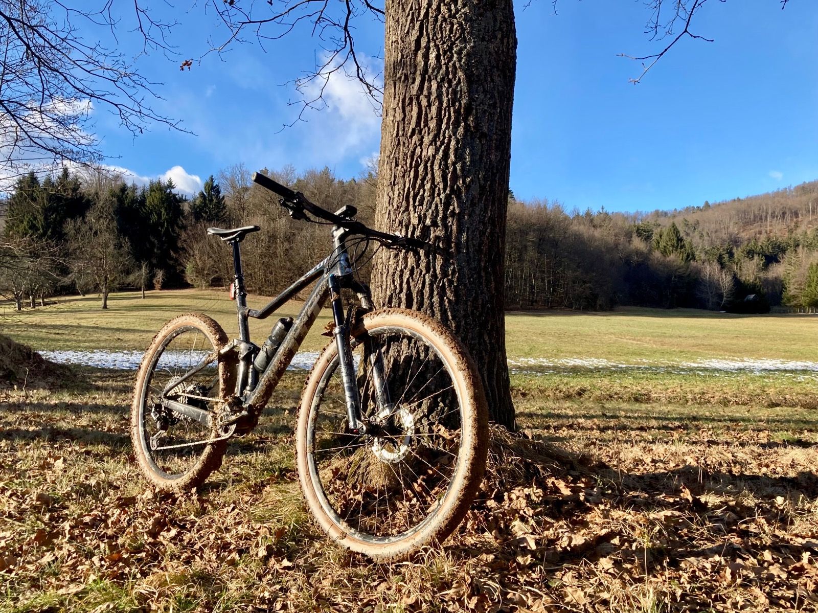 Ride Image 4