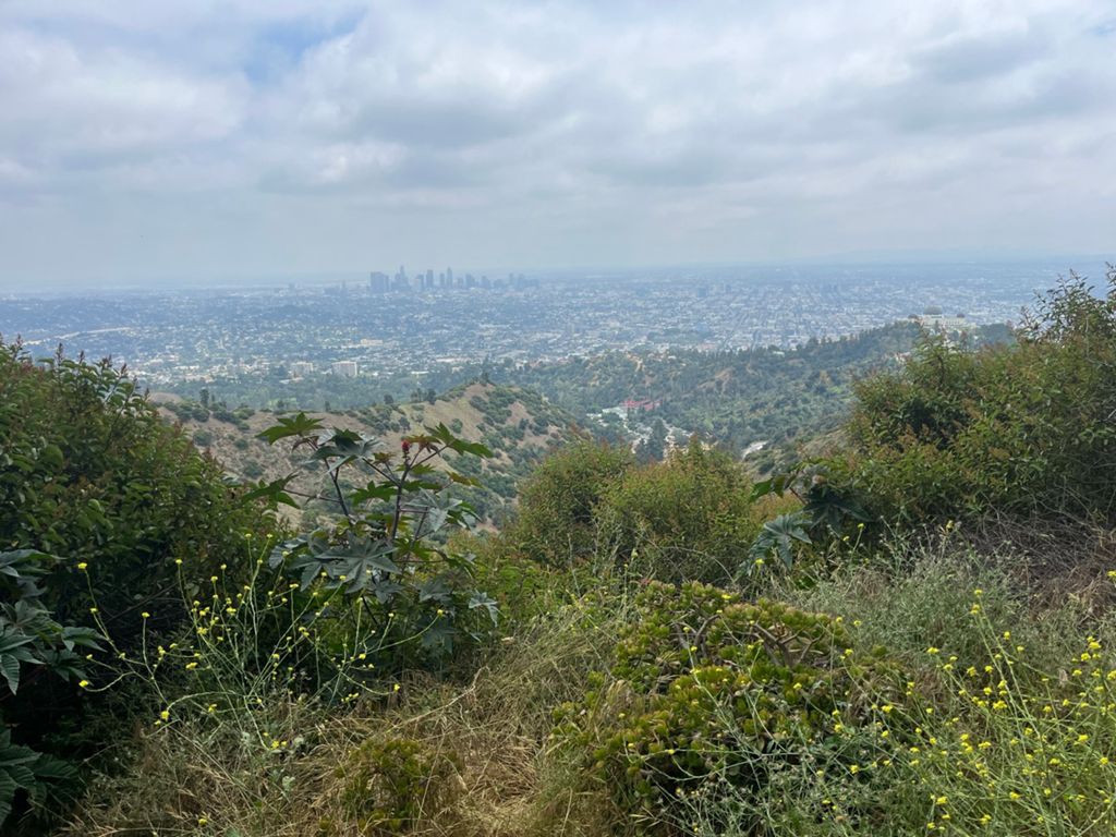 NBB run - Lake Hollywood photo 145