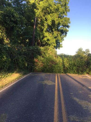 Creek road. Near the Chadds Ford House