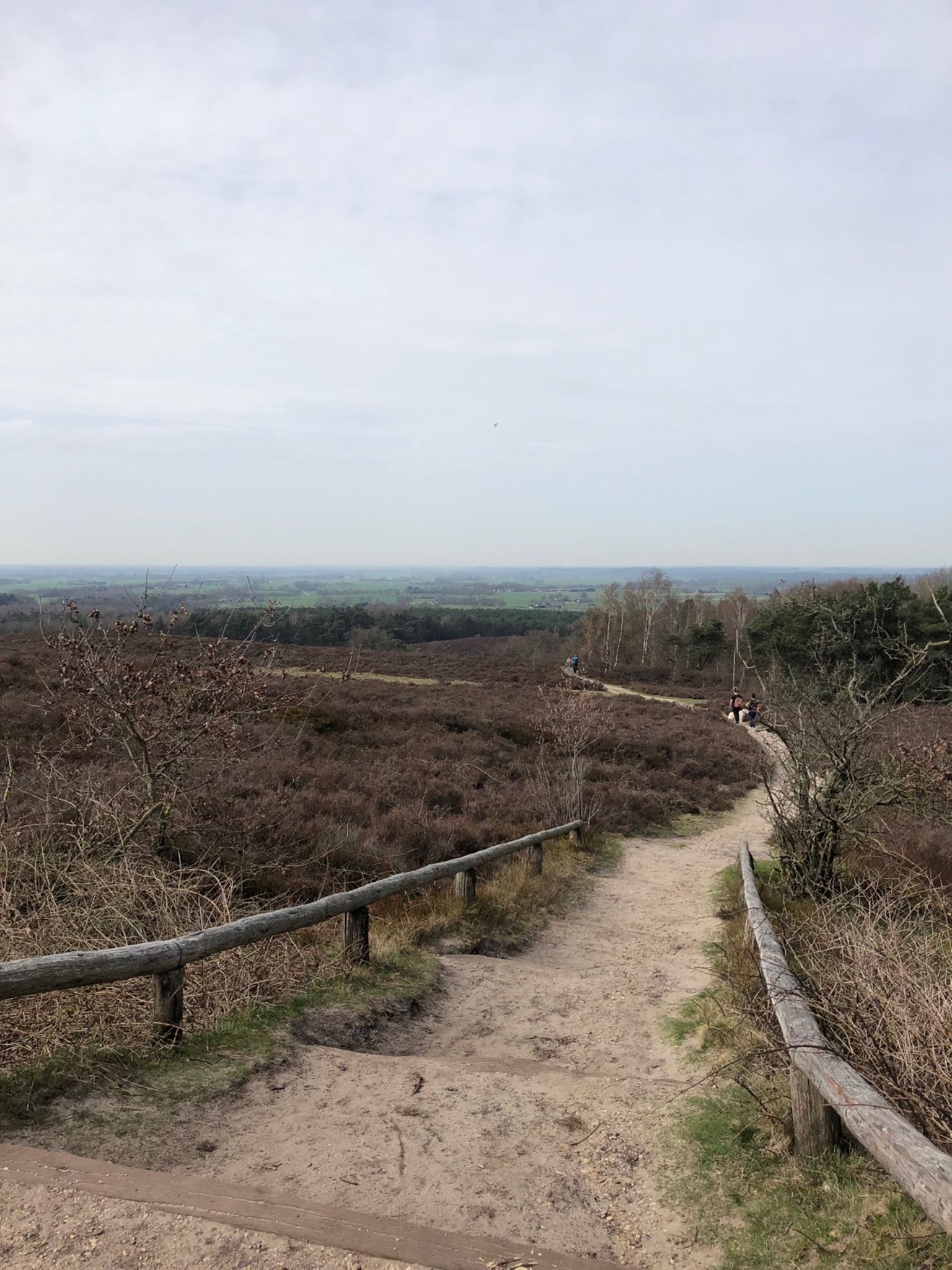 Strava Runner Profile | Danny H. - 1536 x 2048 jpeg 436kB