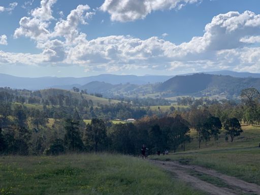 Looking Nth towards Barringtons from Dungog Common