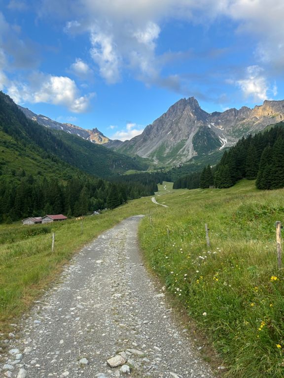 route-highlight