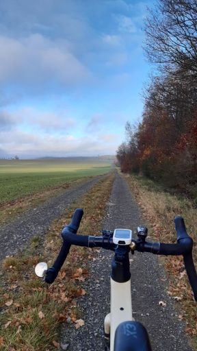 Blauer Himmel über dem Kastellauner Stadtwald.