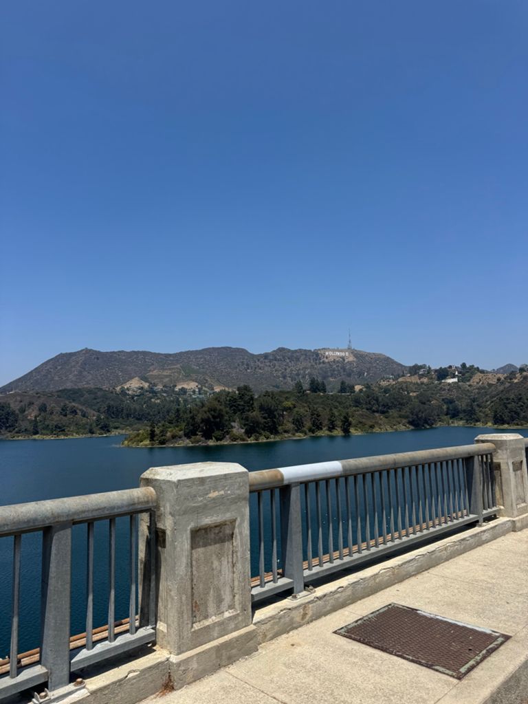 NBB run - Lake Hollywood: фото 125