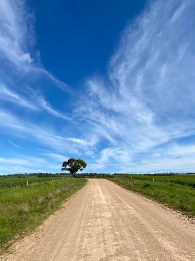 Fantastic clouds today. 😉