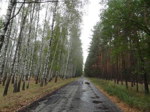 Дорогу на Белогривое латают ну и мне асфальтной крошки подлетающей до уровня головы досталось