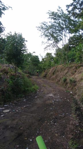 Sacando Tobogansitos