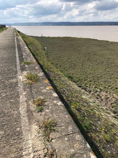 Lovely bit of infrastructure