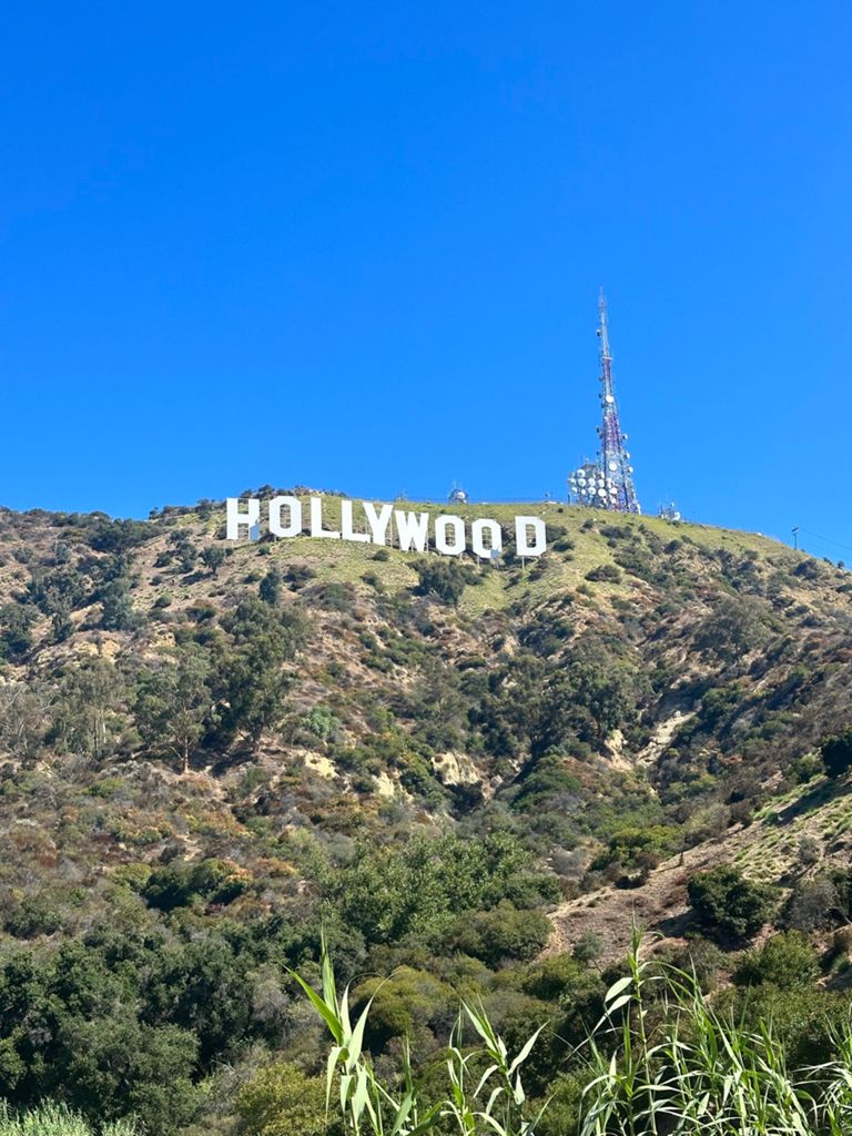 NBB run - Lake Hollywood photo 38